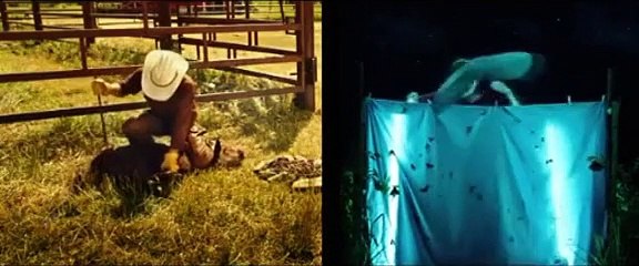 Le dernier Jeunet sort en salles