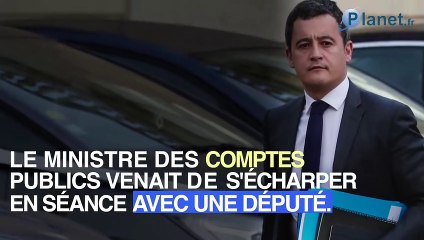 Ce ministre choque après avoir comparé une élue à un "chien"