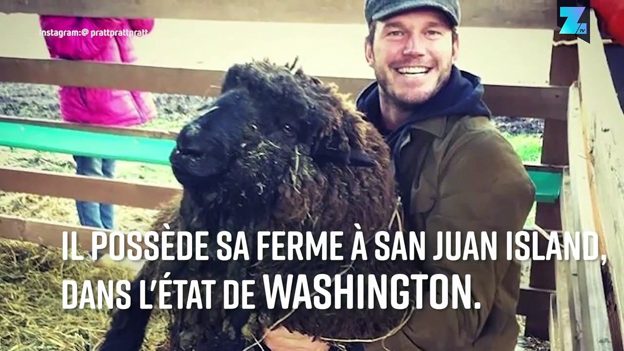Chris Pratt à la ferme