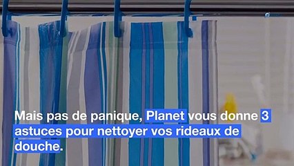 3 astuces efficaces pour nettoyer vos rideaux de douche