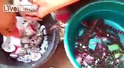 Ils aident des dizaines d'oeufs de crocodile à éclore !