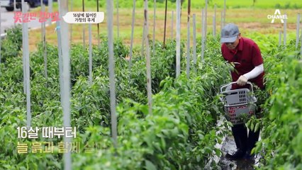 16살에 짊어진 가장의 무게! 가족을 위해 청춘을 바친 꽃길 주인공