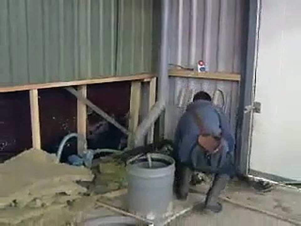 La police néerlandaise teste des aigles pour capturer des drones