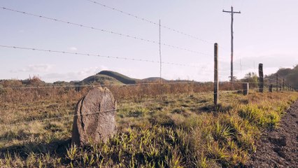 Sonhos Tortos | movie | 2021 | Official Trailer