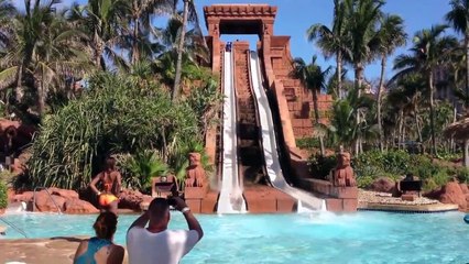 Un toboggan pour plonger au milieu des requins !