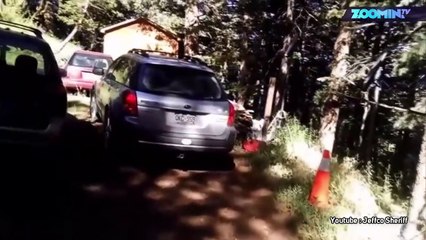 Il retrouve sa voiture avec un ours dedans !