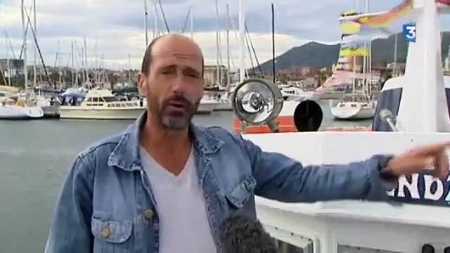 Une baleine à bosse aperçue au large du Pays basque !