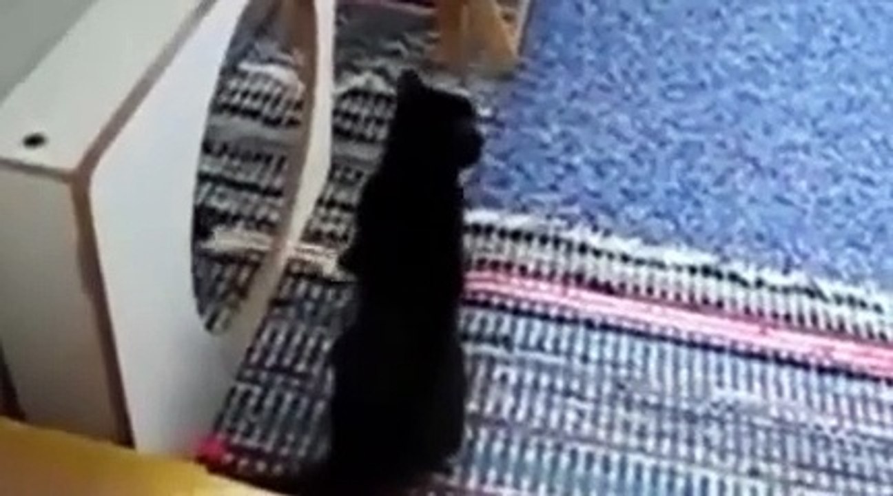 Miroir, mon beau miroir, qui est ce monstre?