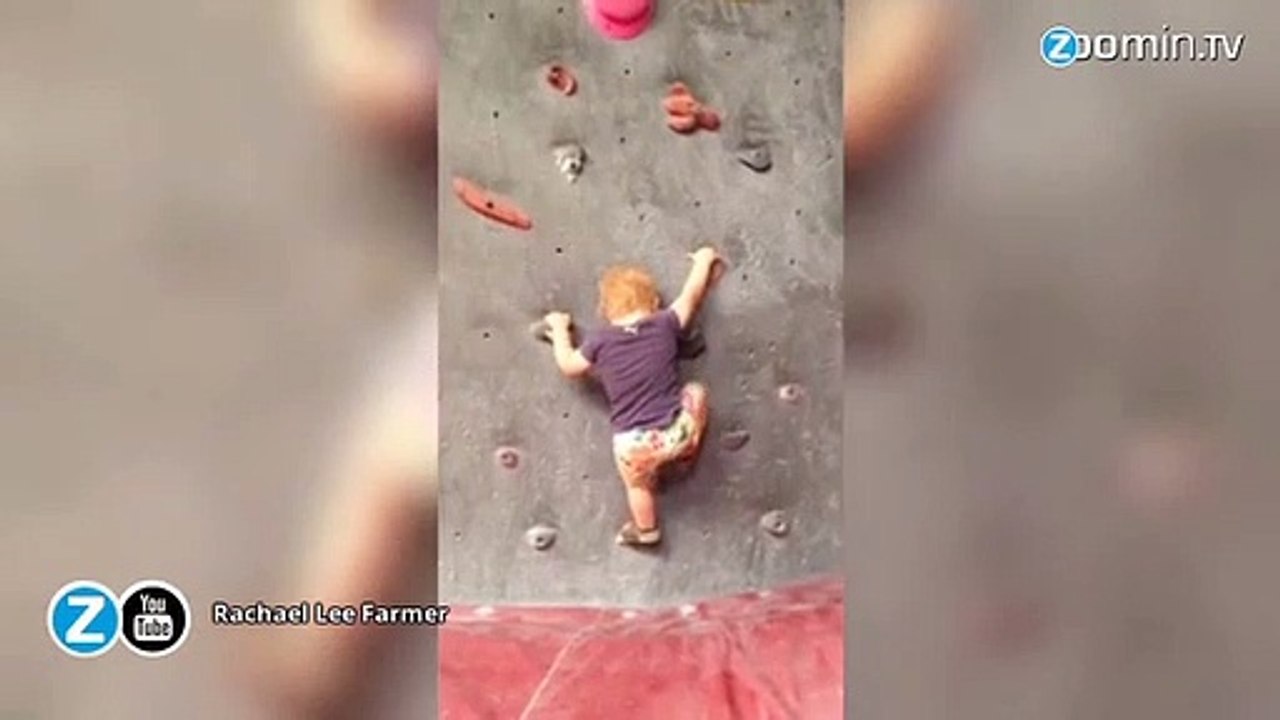 Ce bébé escalade encore mieux qu'il ne marche !