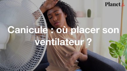 Canicule : où placer son ventilateur ?
