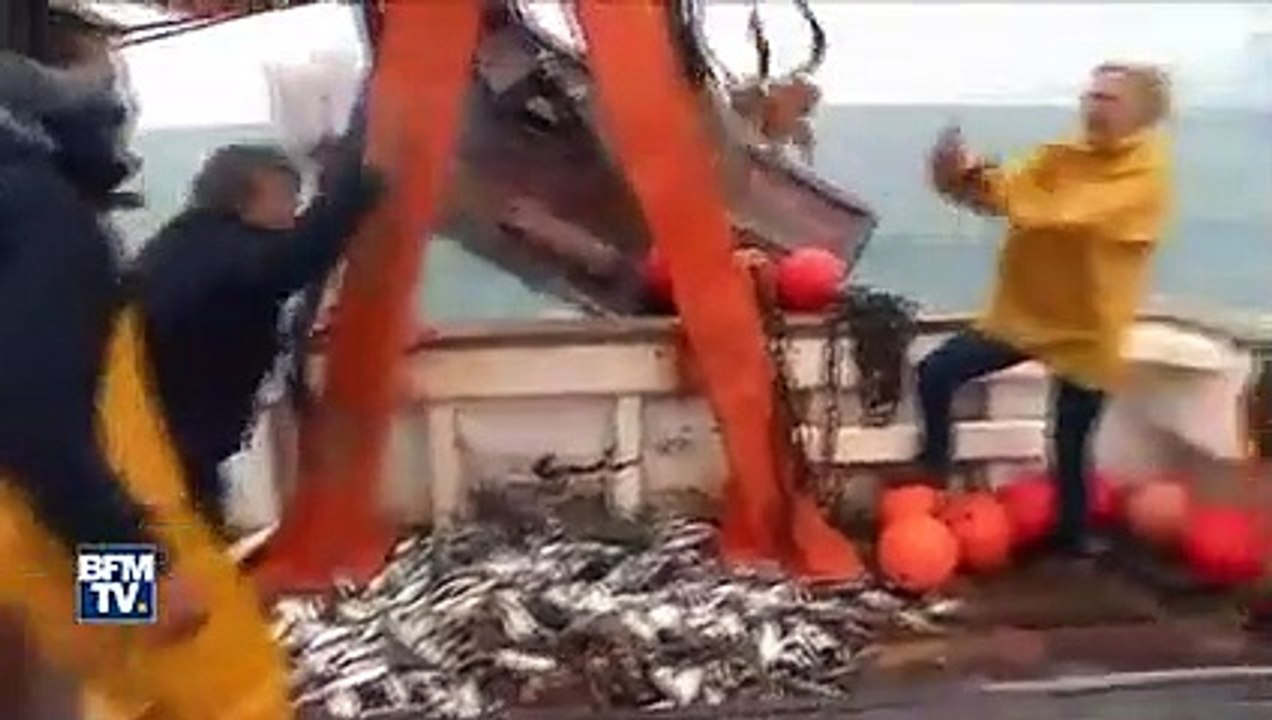 Gilbert Collard lance un poulpe à Marine Le Pen sur un bateau de pêche