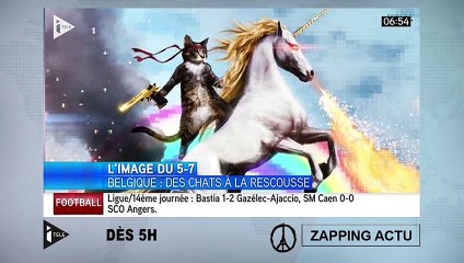 Assaut de Saint-Denis : après le décès de Diesel, la Russie offre un chiot à la France