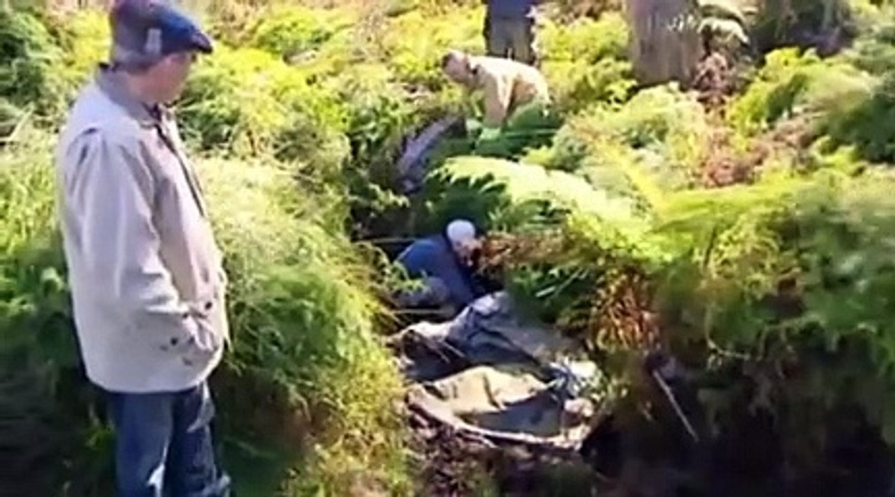 Un cheval secouru au bout de 4 jours