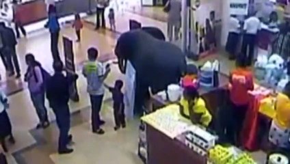 Images de l'assaut au Westagte de Nairobi