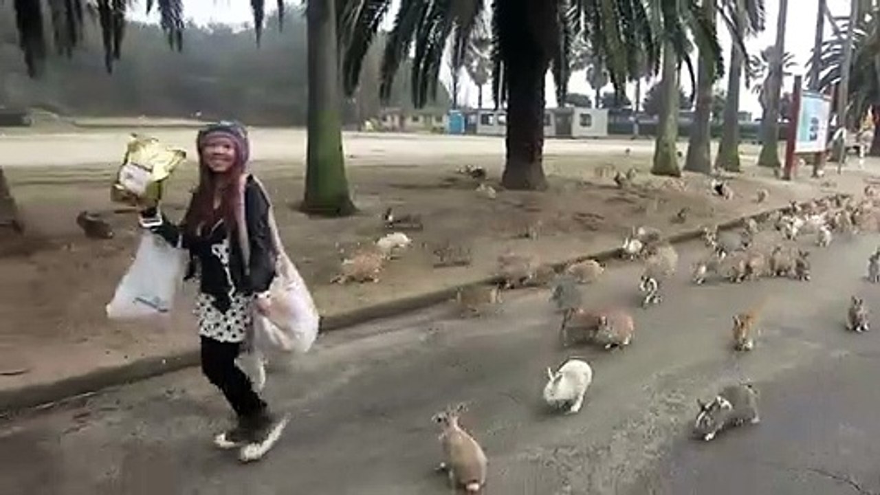 Elle se fait "attaquer" par des lapins