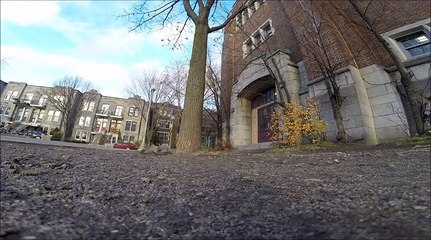 Un écureuil vole une caméra