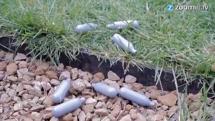 Royaume-Uni : fini les drogues dures légales !