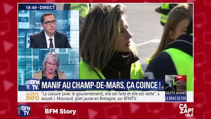 La bourde de Juliette Binoche dans L'Emission politique face à Nicolas Hulot