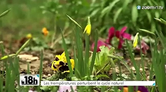 L'hiver n'est pas passé par Bruxelles