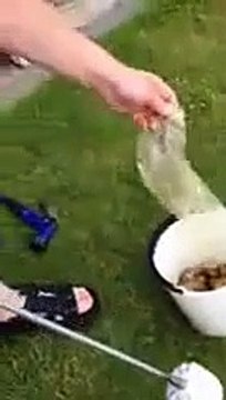 Une nouvelle astuce révolutionnaire pour éplucher les pommes de terre