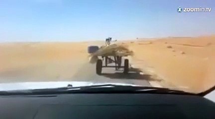 Un chien cocher dirige son âne !