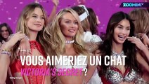 Behati Prinsloo révèle les textos secrets des Anges Victoria's Secret