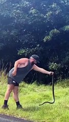 Preserving the Carpet Python