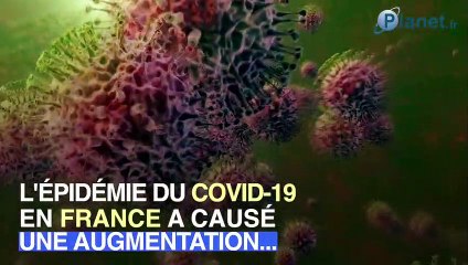 Covid-19 : les rayons vides vont-ils augmenter dans les supermarchés ?