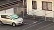 Japon : un homme attaqué en pleine rue par un sanglier !