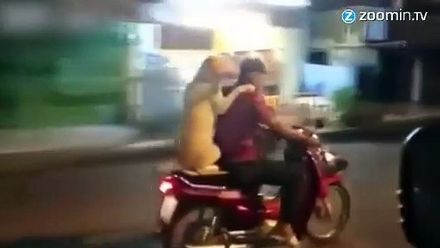 Un chien debout sur un scooter tient un parapluie !