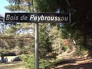 Disparition d'Agnès : un corps retrouvé, le gardé à vue dit l'avoir bousculée