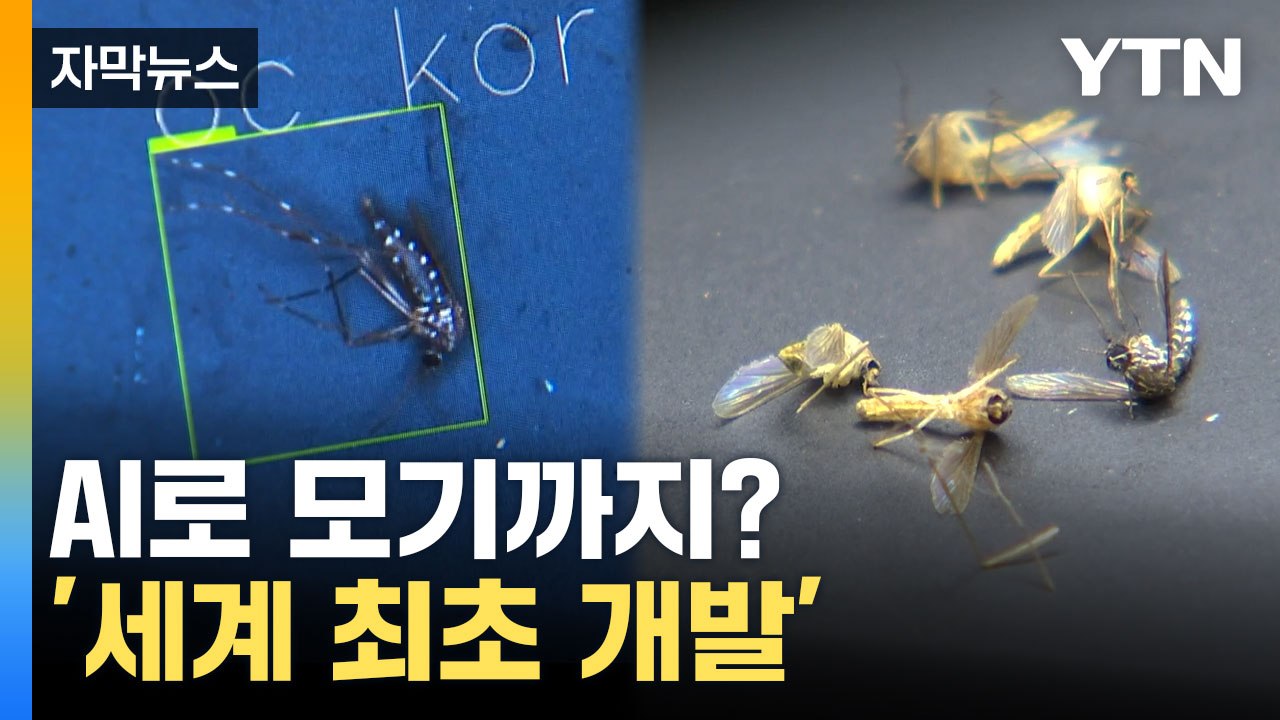 [자막뉴스] 정확도 무려 '94.7%'... 모기 박멸 가능할까? / YTN