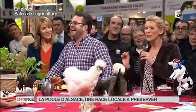 Des lapins coquins perturbent le plateau de Midi en France en direct