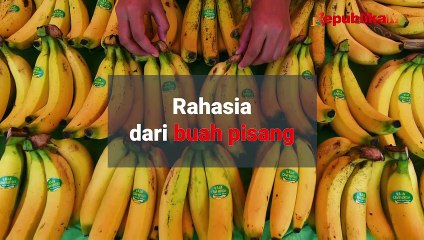 Rahasia dari Buah Pisang