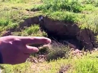 A Rafah, le sol se dérobe sous les pieds des Palestiniens