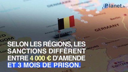Covid : les sanctions des pays européens en cas de non-respect de l’isolement