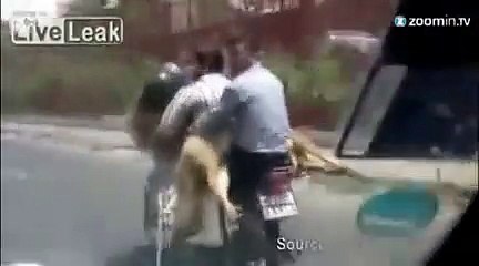 Deux moutons font de la moto