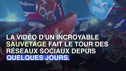 Cette mère sauve son fils d'une chute spectaculaire