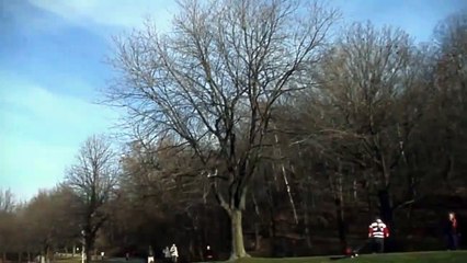 Un aigle enlève un enfant dans un parc  !