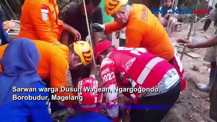 Cari Pakan Ternak, Kakek Malah Pingsan di Atas Pohon di Magelang