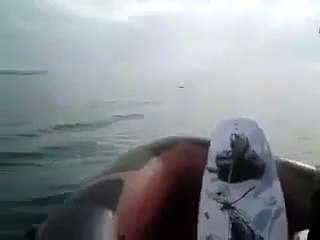 Il échappe de justesse à une attaque de requin !