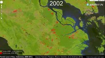 Evolution des forêts dans le monde depuis 13 ans