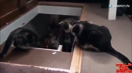 Descendre les escaliers, ça s'apprend !