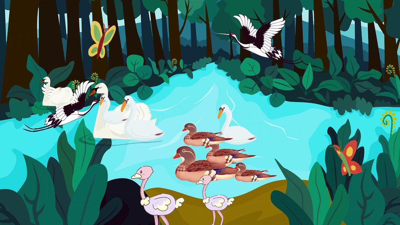 Video animasi - danau - angsa
