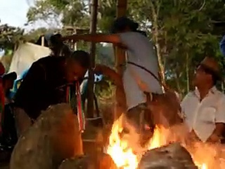 Colombie: de la guérilla à la terre mère, le retour des jeunes indiens Nasa