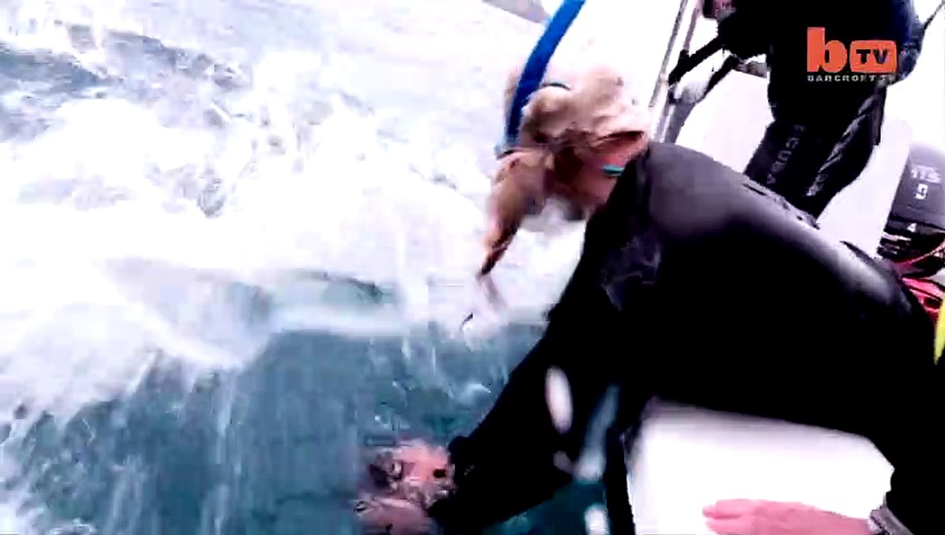 Et bain rencontre pour enfants Méga planète requin requins jouet déballage  Orca animale - Dailymotion Video