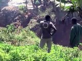 Kenya: des tomates biologiques sur une ancienne décharge de bidonville