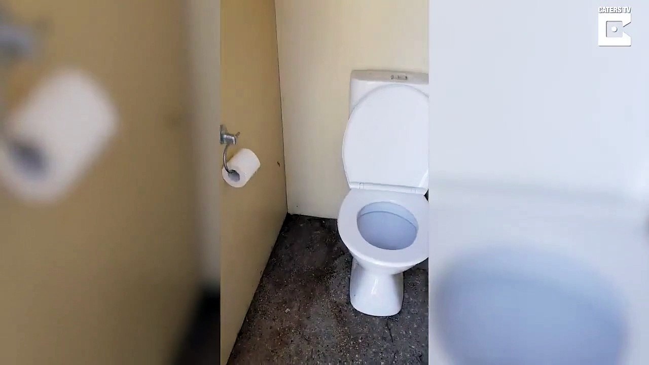 Surprise aux toilettes !