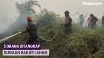 Satgas Karhutla Amankan 5 Orang Terduga Pelaku Pembakar Lahan di Jambi
