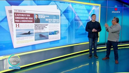 La vaquita marina lucha por su supervivencia desde San Felipe